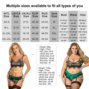 Plus Size Women's Intimates Underwear Set