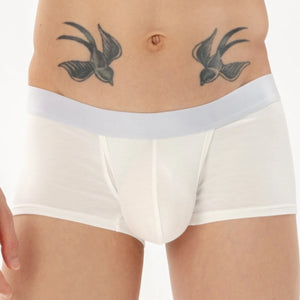 Men's Fitting Brief Underwear